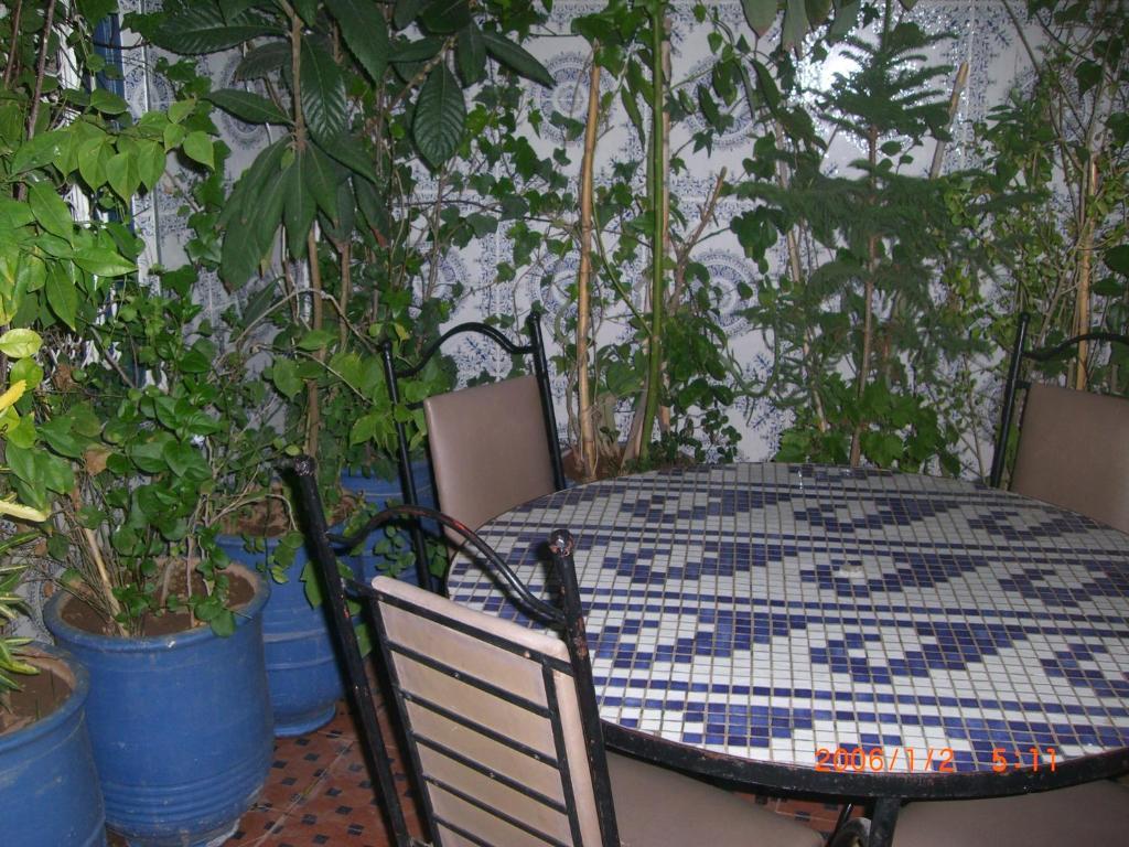 מרקש Hostel Beautiful Dreams מראה חיצוני תמונה