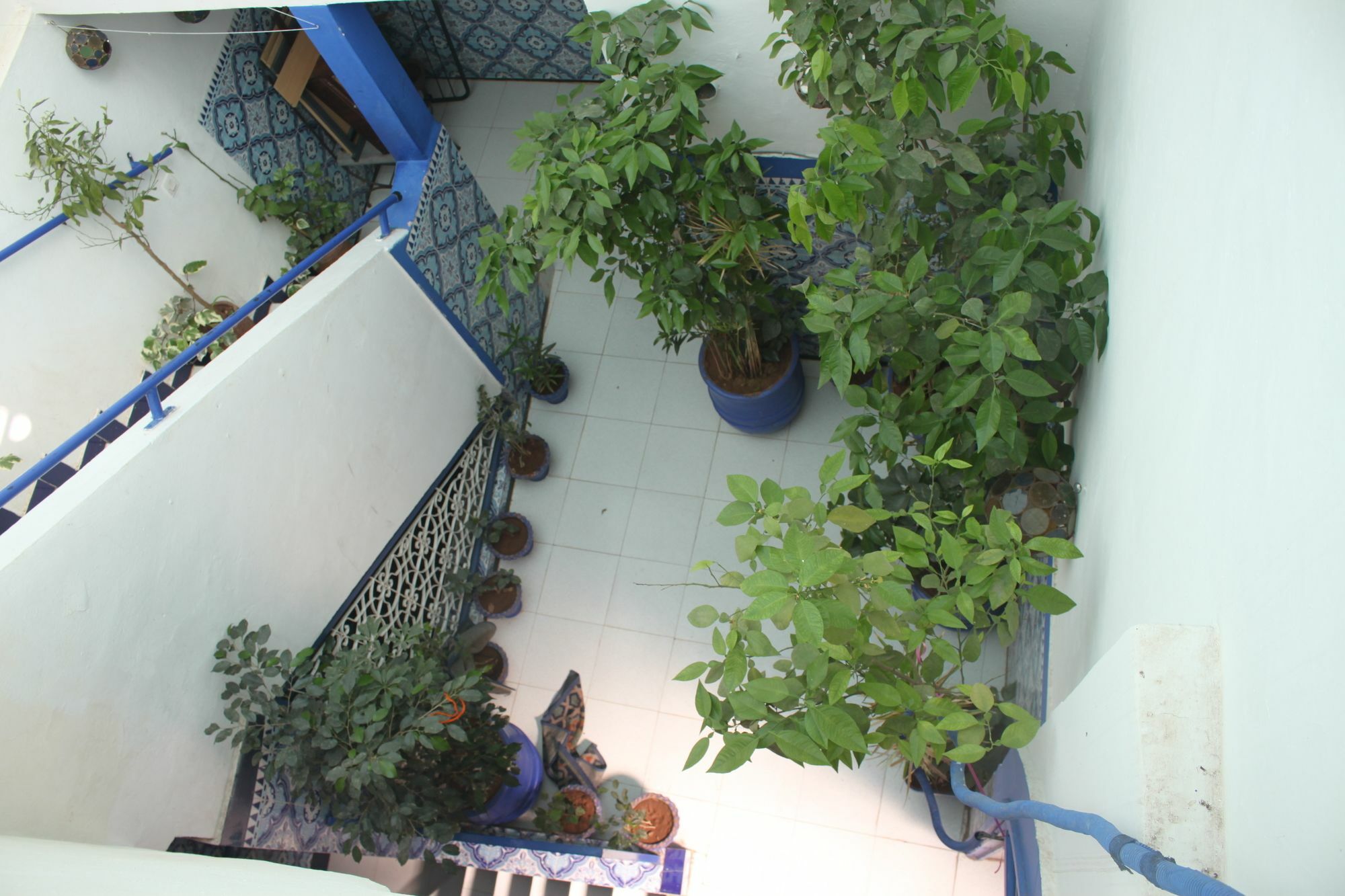 מרקש Hostel Beautiful Dreams מראה חיצוני תמונה